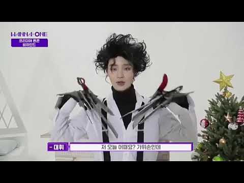 워너원 Wanna One Premier FanCon VCR Daehwi CUT 이대휘