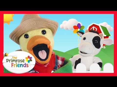 The Primrose Friends and 2 more