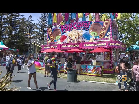 San Mateo County Fair Offer: Get the Shot, Get Free Admission