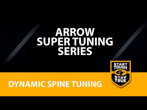 Dynamische Spine-Tuning-Pfeile Teil 8/11