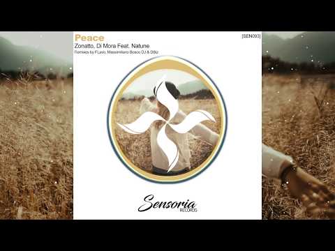 Zonatto, Di Mora Feat. Natune - Peace (Massimiliano Bosco Dj & DBiz Radio Remix)