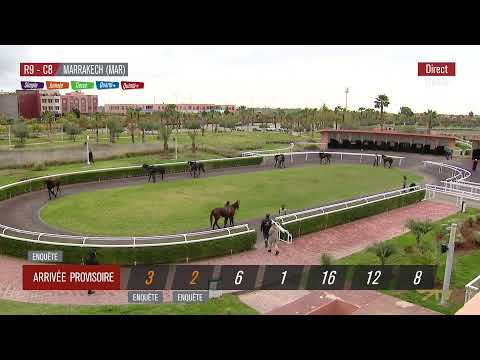 Live Hippodrome « MARRAKECH Courses du « 03/02/2026 »