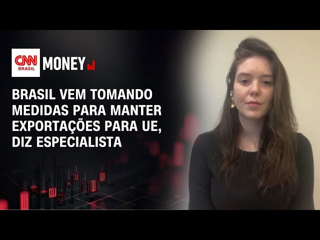Brasil vem tomando medidas para manter exportações para UE, diz especialista | CNN AGRO MONEY