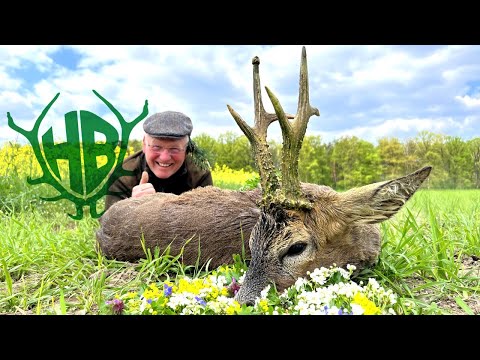 auf Rehböcke in Polen mit TTA-Jagdreisen - Hunter Brothers