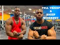 FULL TRICEP AND BICEP WORKOUT | OPTION #1