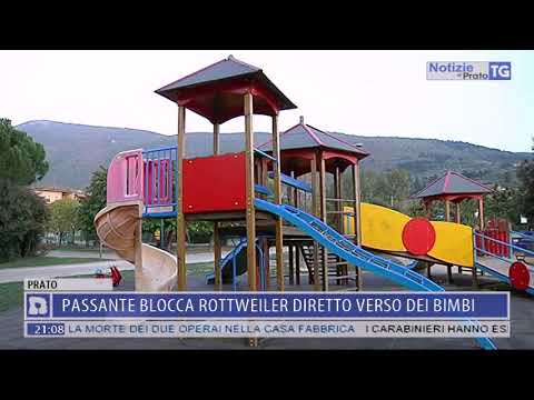 2017-10-30 NOTIZIE DI PRATO TG ORE 20.50