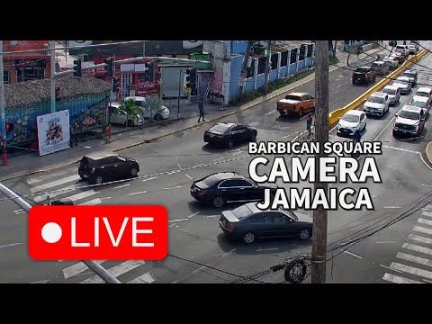 Camera Offline