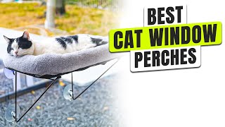 3 BEST Cat Window Perches - Your Cat Deserves This View Now!
