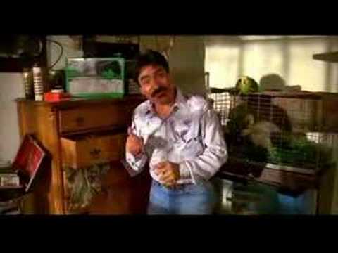 UHF - Raul's Wild Kingdom