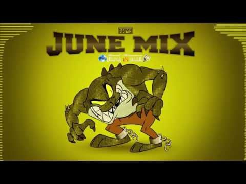 Army   June Mix Electro House   Dutch 2015