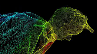 The New Division - Eyes