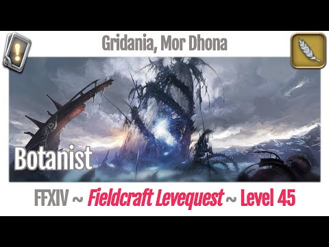 FFXIV Botanist Leves Level 45 - Gridania, Mor Dhona - A Realm Reborn