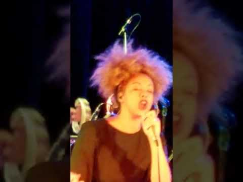 Orgone Portsmouth Nov 2017