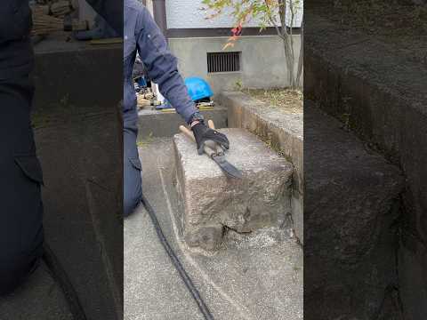 スマートガーデン: 庭師に最適なアプリケーションをご紹介します!  庭園