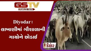 Diyodar : લાખાણીમાં ગૌશાળાની ગાયોને છોડાઈ | Gstv Gujarati News