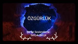 Duygusal Kısa Şiirler - 29 - ÖZGÜRLÜK