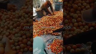 Download lagu uang panai 100 jt viral #videoshort #uangpanai #storywa #templatecapcut #tiktokviral #fyp mp3