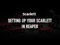 Setting up your Scarlett in Reaper