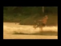 Apocalypse Now - Satisfaction 