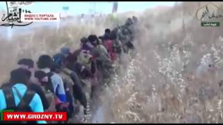 Террористические группировки из Сирии терпят поражения и покидают занятые территории