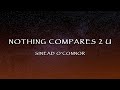 Sinead O'Connor - Nothing Compares 2 U (Lyrics)