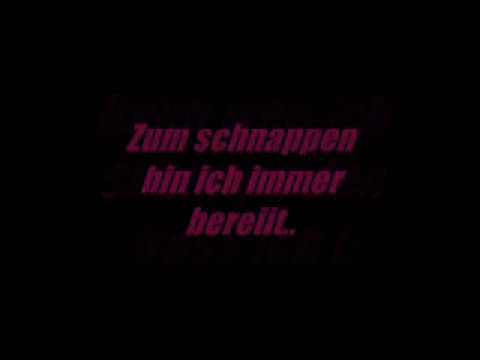 Schnappi-Herbert Grönemeyer..  Songtext!