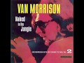 Van Morrison - The Way Young Lovers Do - (1968 1971) Naked In The Jungle