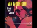 Van Morrison - The Way Young Lovers Do - (1968 1971) Naked In The Jungle