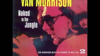 Van Morrison - The Way Young Lovers Do - (1968 1971) Naked In The Jungle