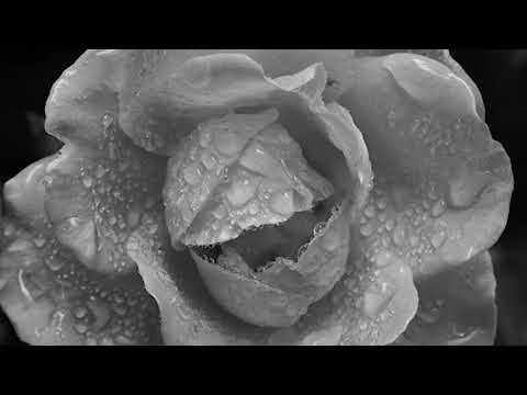 Geta Lazar - Sodoma si Gomora