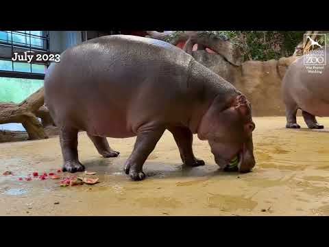 Happy birthday, Omo!