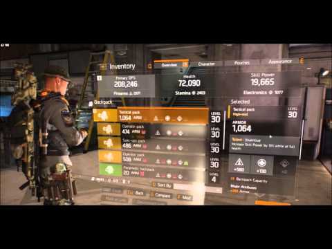 The Division - Incursions Build Guide