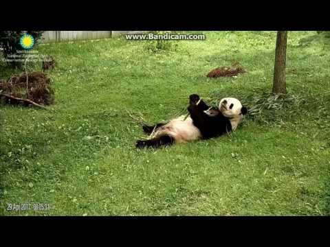 2017.04.29 MOM & DAD - SPRING SEASON