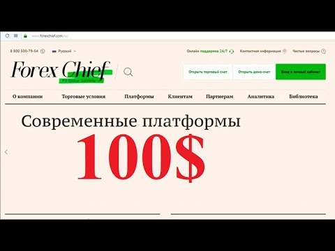 forex chief бездепозитный бонус 100