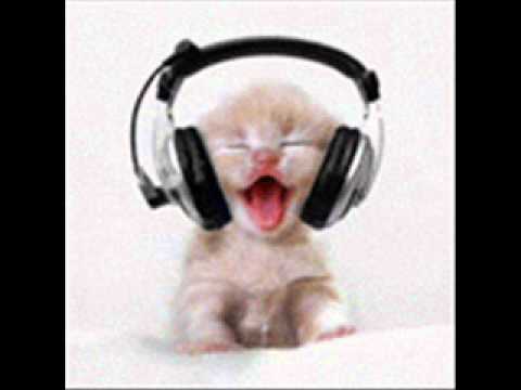 The Master Of Twinklez...