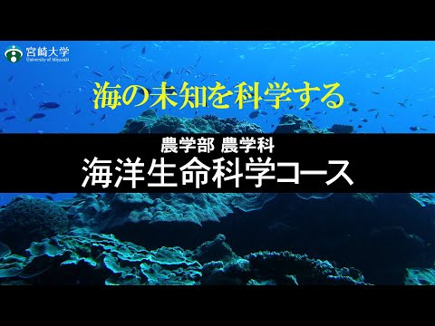 【海の未知を科学する】宮崎大学農学部｜農学科・海洋生命科学コース
