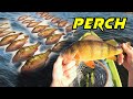 Video Thumbnail for Jumbo Perch On Pickerel Rigs