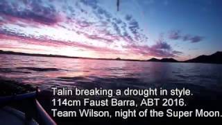 114cm Faust Barra by Talin