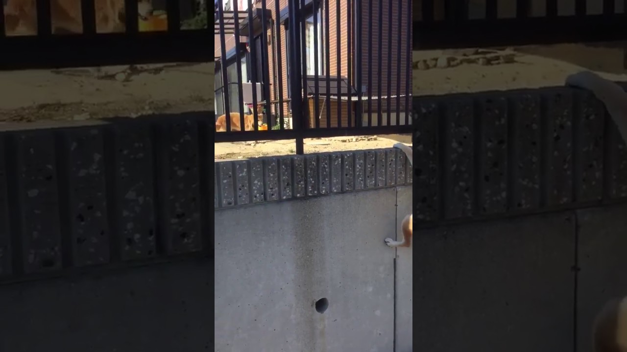 When you finally meet your favorite friend during holidays.