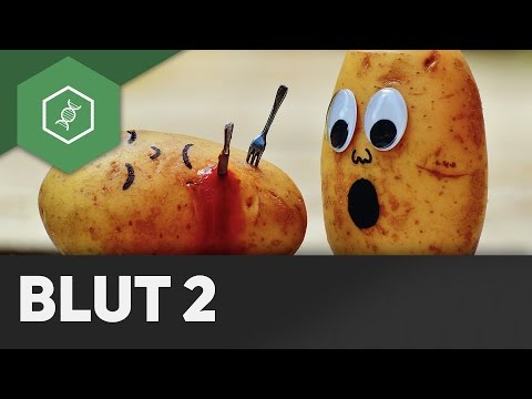 How do wounds heal?! - Blood 2