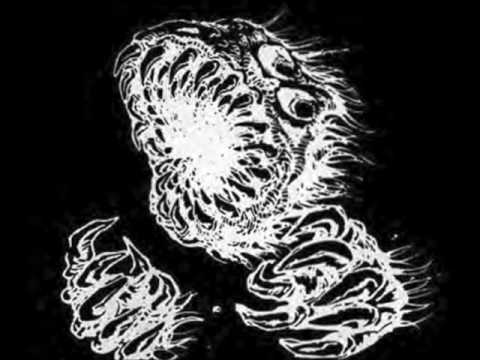 The Beauty of Grind - Naga Sotuva (Norrin_Radd vocal cover)