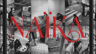 MATADOR Lyrics English Translation