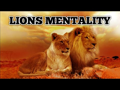WISDOM OF THE LION | Lion Mentality #lionmentality  #motivationalspeech #bestmotivationalvideo