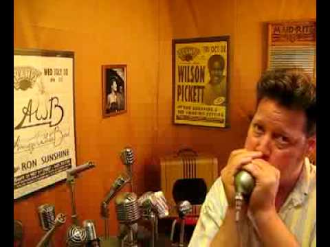 Shure 520 Green Bullet Custom Vintage Harp Mic--Chuck Gurney