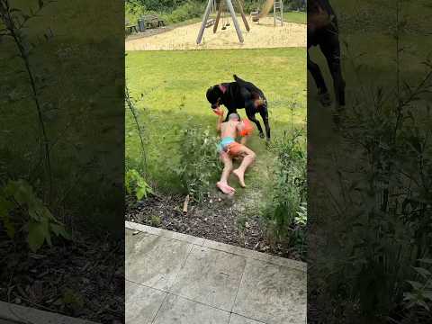 Canelo will sein Pool für sich alleine haben 😂