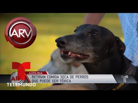 Alerta por comida seca para perros que puede ser tóxica | Al Rojo Vivo | Telemundo