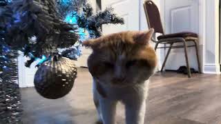 Download lagu Gumption  mp3