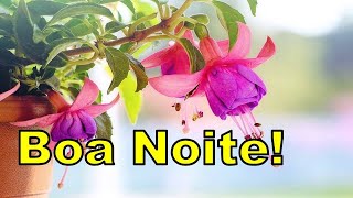 Linda Menagem de Boa noite com Amor e Carinho