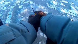 Зимняя рыбалка в спас клепиках
