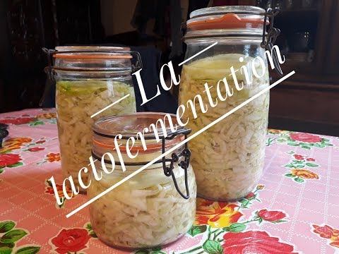 CONSERVE DE CHOU pour faire sa CHOUCROUTE MAISON